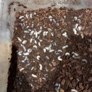 재주농장 이미지