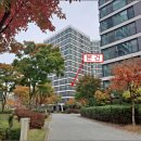 수원-1361 이미지