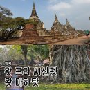 씨(SI) | 완전히 다른 매력! 웅장한 아유타야 유적지 (왓 프라 씨 산펫, 왓 마하탓) 투어 솔직 후기 및 관람 팁