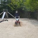 지족초등학교(병설) 이미지