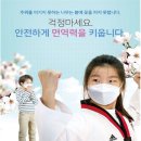 블랙벨트태권도 이미지
