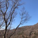 더함농장 이미지