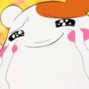 고기앞에모두평등하다