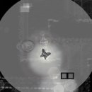 네바에(NEVAEH) 이미지