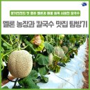 덕현농장 이미지