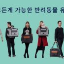 앨리스캣
