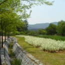 마재초등학교 이미지