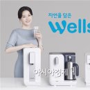교원광고
