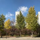 초대 | [내돈내산] 남양주 초대한정식 솔직 후기 (환갑 잔치)