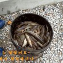 바다배 펜션 이미지