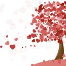 동국의료기 이미지