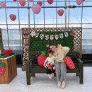 온누리농장 | 논산 딸기체험 온누리 딸기농장 28개월 후기｜킹스베리 딸기 수확 가격·체험구성·연령추천 이벤트 총정리