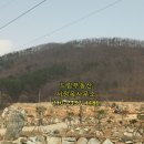 성수면사무소 이미지