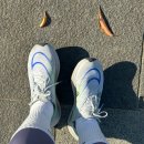 바른카워시 이미지