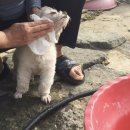 빙고전