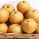 클럽엑스 이미지