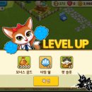 펫 아일랜드 이미지