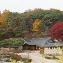 배창 이미지
