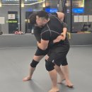 알파복싱 이미지