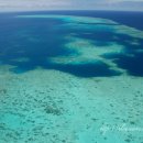 그레이트팜 이미지