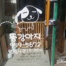 똥강아지애견샵 이미지