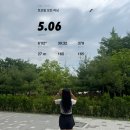 원하프 | 여의도 밤섬마라톤 첫 하프 완주 후기! 결혼 10주년 기념으로 도전 성공