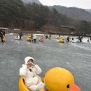 포천 산정호수 썰매축제 러버덕 오리썰매 주말 오전 후기 (주차, 가격, 웨이팅 )