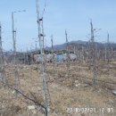 무풍면010 이미지