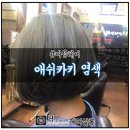 오늘염색풍암점