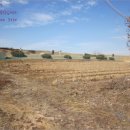 여주-1030 이미지