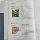 아로마테라스