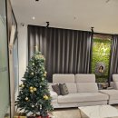 호텔 신 아라리 이미지