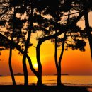 원대성천 이미지