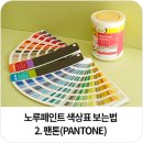 칼라앤페인트