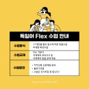 [독일어과외] 2026년 5월 상반기 독일어 한국외대 플렉스 FLEX 시험 합격 후기 모음집 및 플렉스 시험 팁 💖