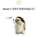 테슬라코리아(유)성남분당점 | 테슬라 분당스토어 모델y 주니퍼 rwd 화이트 계약 후기