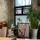 텐퍼센트신호점 이미지