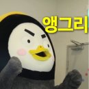 청년다방감일점