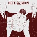 올스타동물의료센터 | [서울/강서] 강아지 발치&amp;스케일링 동물병원 추천 (올스타동물의료센터)
