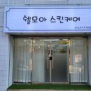 쉘모아 스킨케어