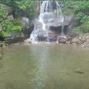 숲속그린펜션 이미지