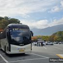 (주)에이스여행사
