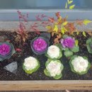 바울공인중개사사무소 이미지