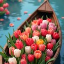 아름다운여행 이미지