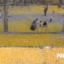 의동마을 이미지