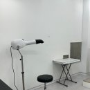 스마일댕댕 이미지