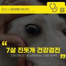파주24시동물병원 | 파주 24시 나음동물병원에서 7살 진돗개 건강검진 후기 금식시간