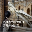 런던 자연사 박물관 공룡 기념품 동선 볼거리