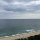 신라모노그램 강릉 레지던스 이미지