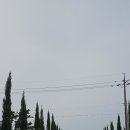 남해-310 Daum카페